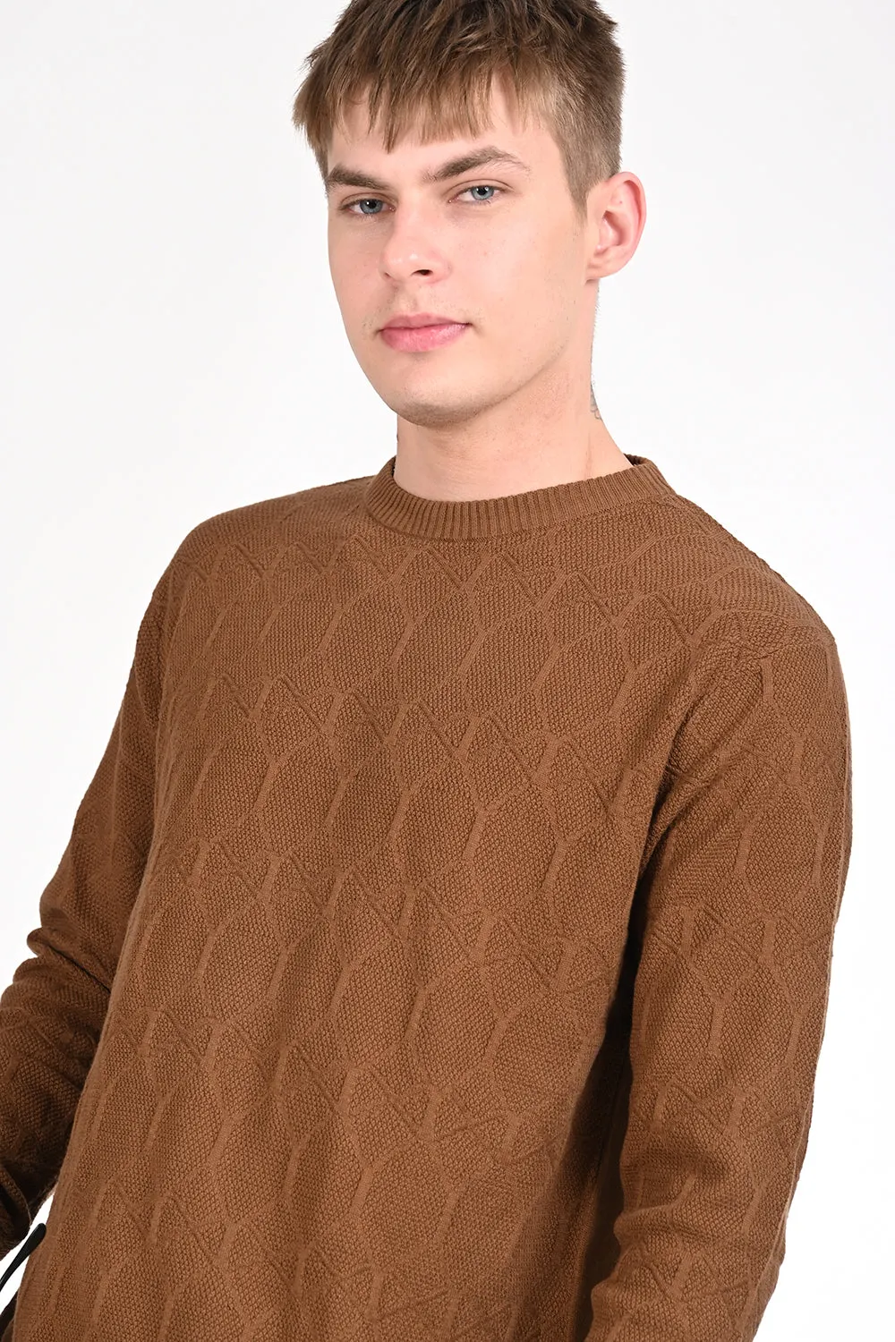 Brown Textured Regular Fit Sweater
