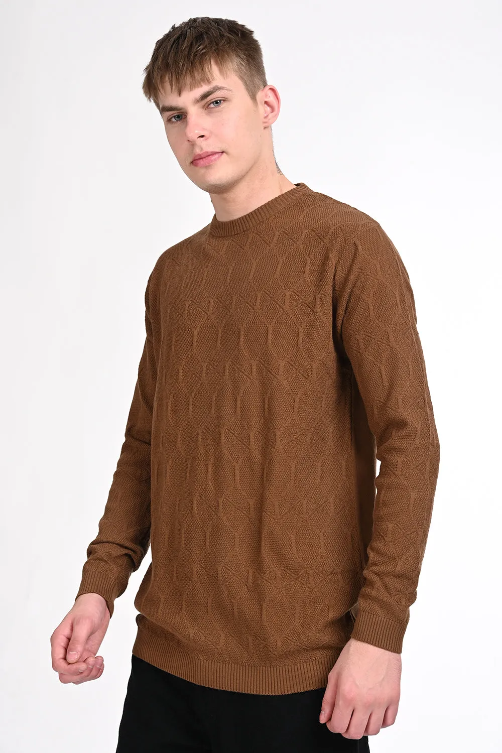 Brown Textured Regular Fit Sweater