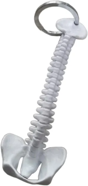 Milageto Stylish Mini Handmade Spinal Backbone Skeleton Style Keychain Key