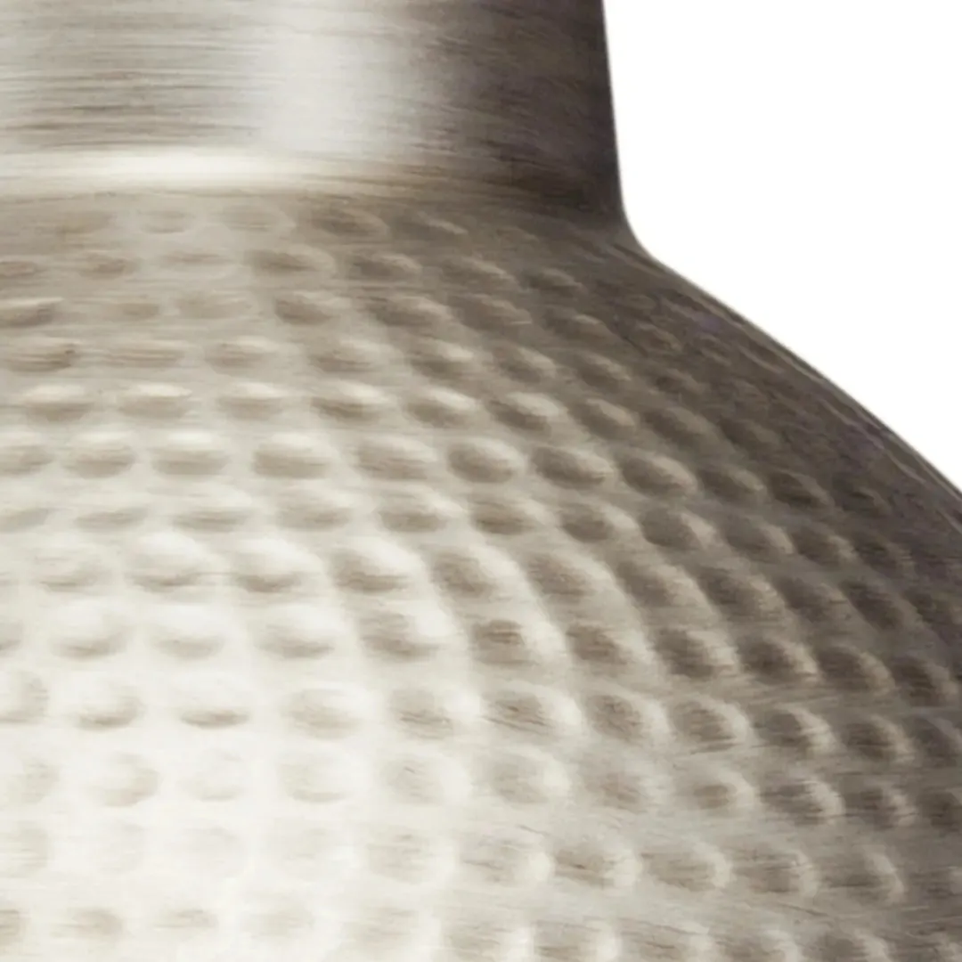 Missoula 14 in. Pendant Light Silver Finish